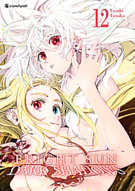 Bright Sun - Dark Shadows - Band 12