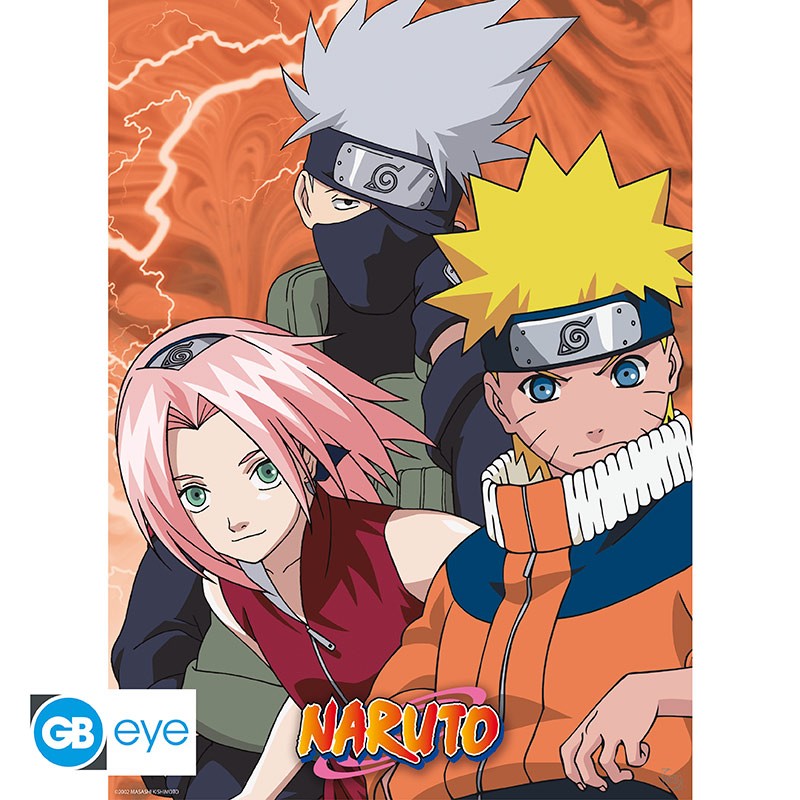 Poster - Packung mit 2 - Naruto - Ninja & Nukenin
