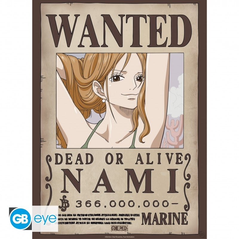 Poster - Packung mit 2 - One Piece - Nami & Robin