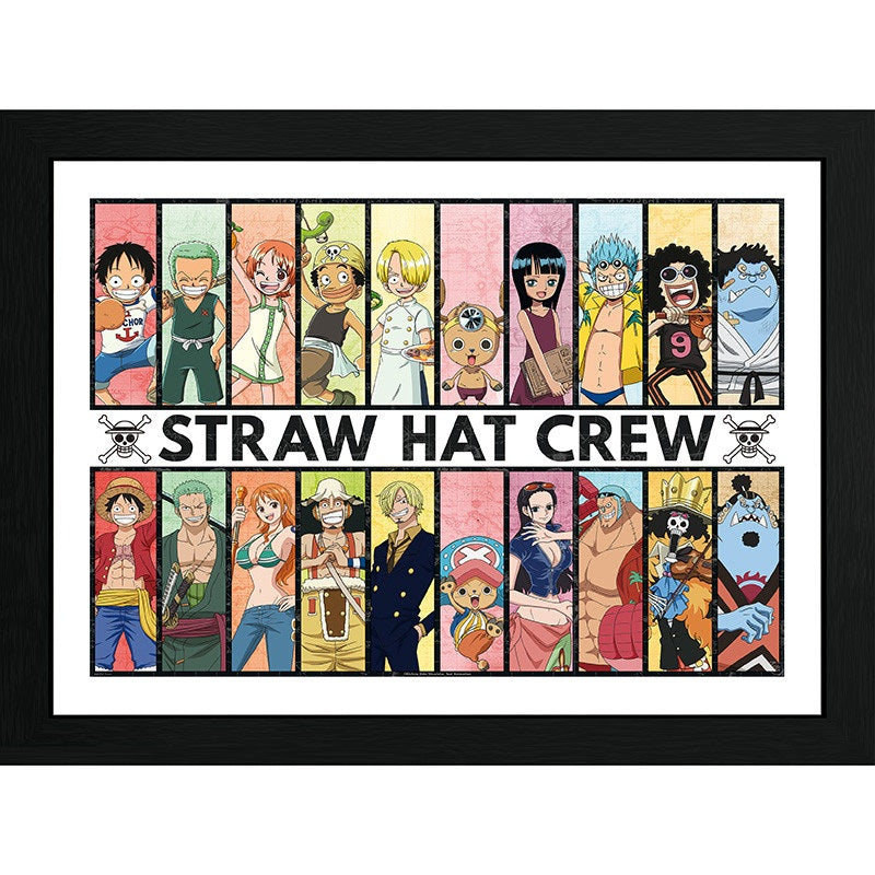Rahmen - One Piece - Vergangenheit & Gegenwart - Mugiwara-Piratenbande