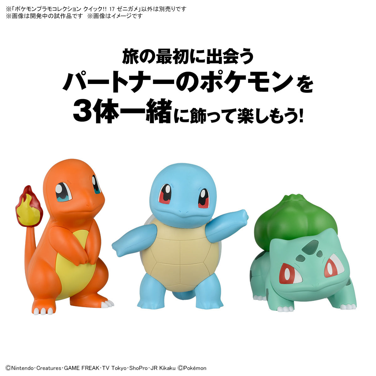 Modell - Pokepla - Pokemon - Quick N¡17 - Schiggy