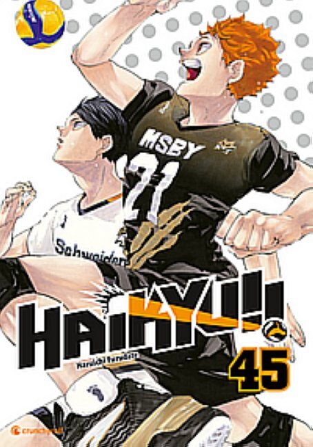 Haikyu!! - Band 45 (Finale)
