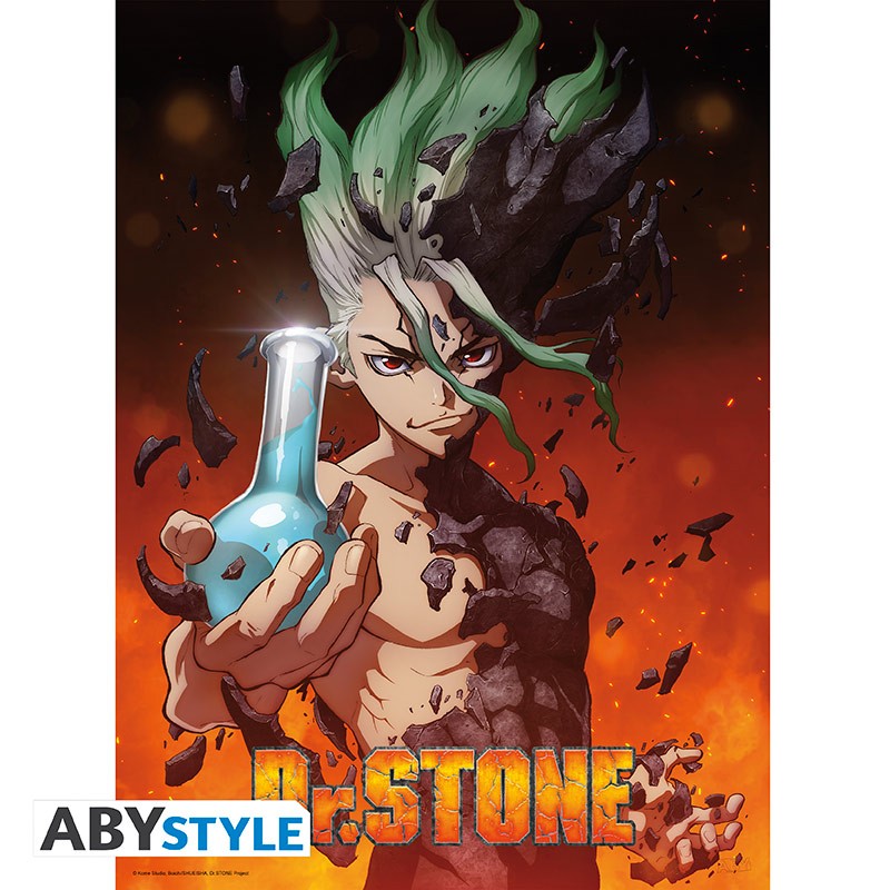 Poster - Flat - Poster - Dr. Stone - Senku