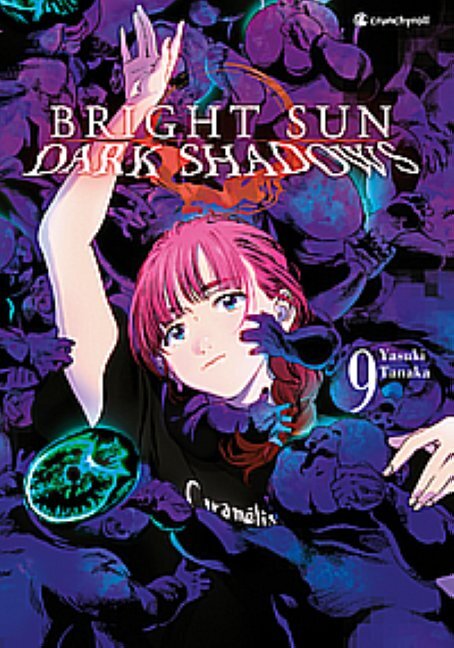 Bright Sun - Dark Shadows - Band 9