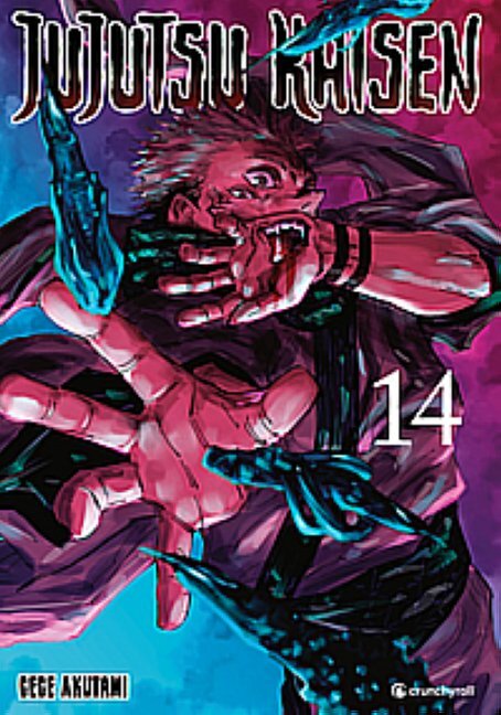 Jujutsu Kaisen - Band 14