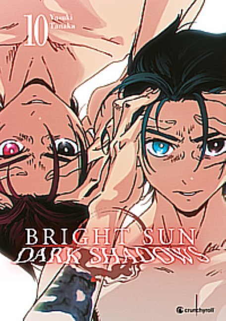 Bright Sun - Dark Shadows - Band 10