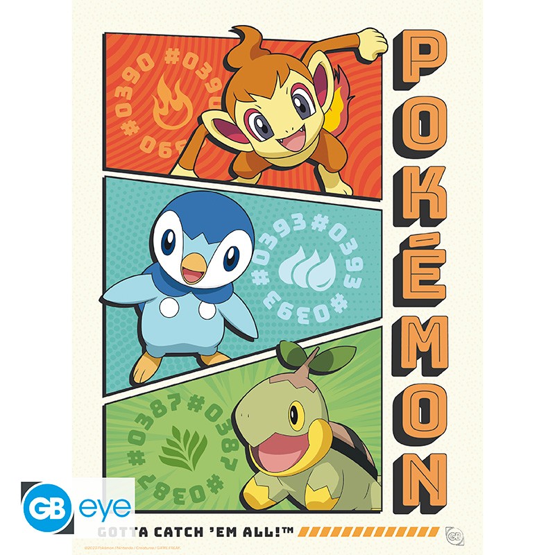 Poster - Flat - Pokemon - Starters