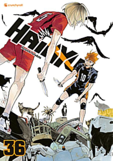 Haikyu!! - Band 36