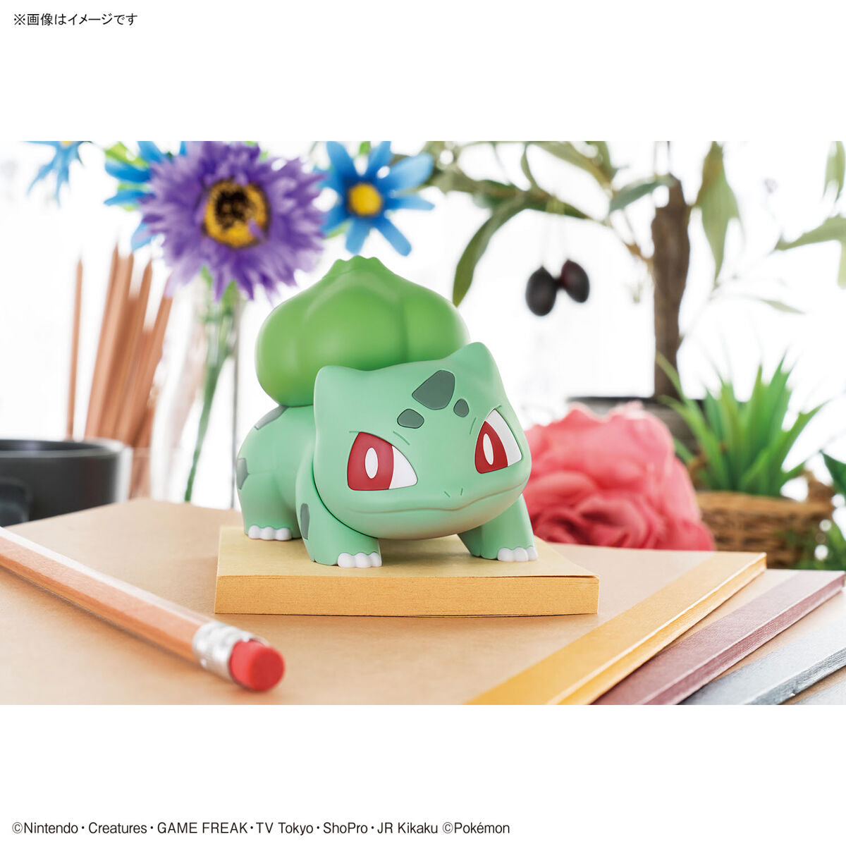 Modell - Pokepla - Pokemon - Quick N¡13 - Bisasam