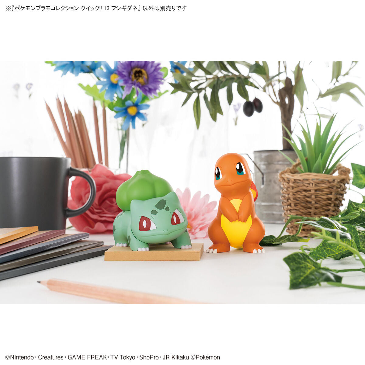 Modell - Pokepla - Pokemon - Quick N¡13 - Bisasam