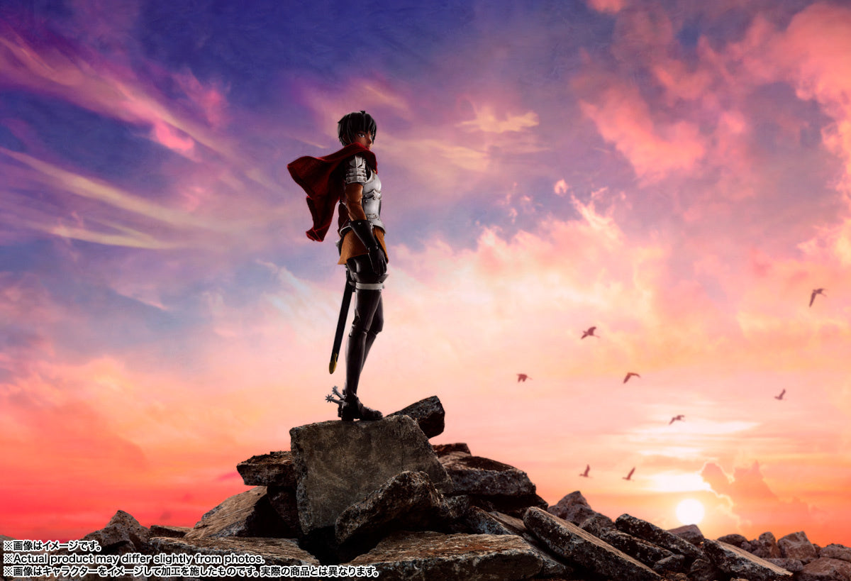 Gelenkfigur - S.H.Figuarts - Berserk - Casca