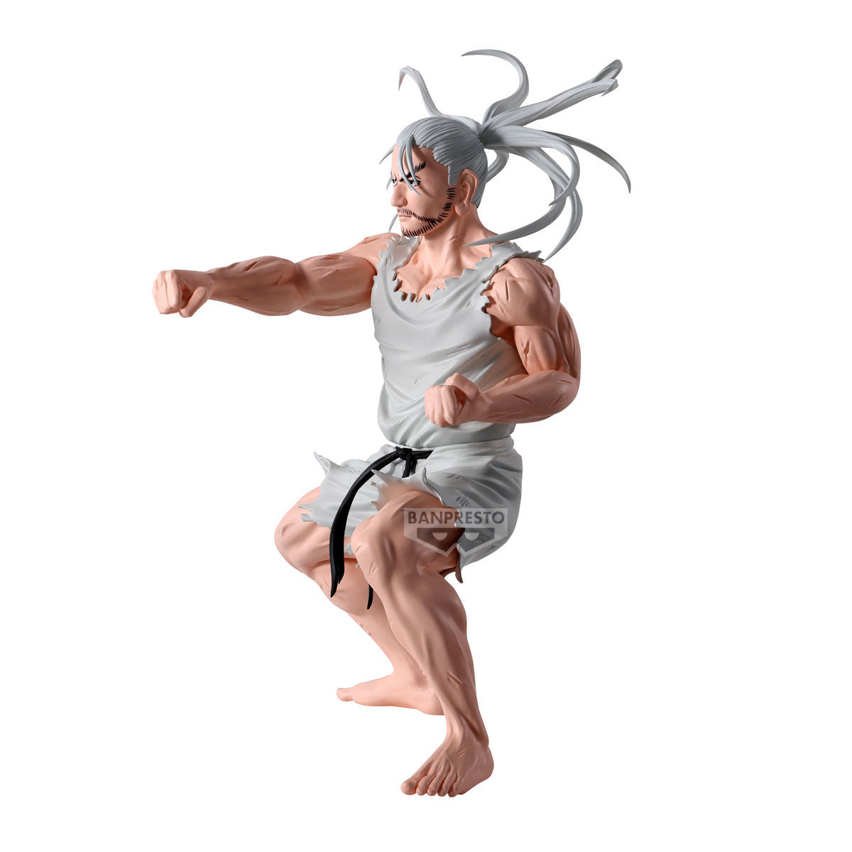 Statische Figur - Hunting Archives - Hunter X Hunter - Netero