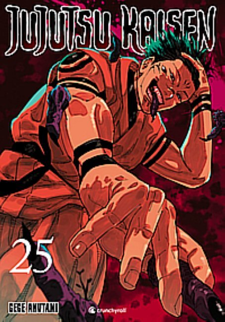 Jujutsu Kaisen - Band 25