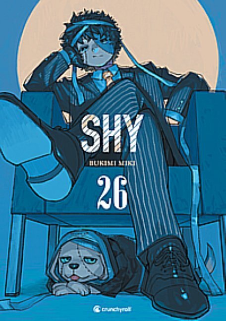 SHY - Band 26