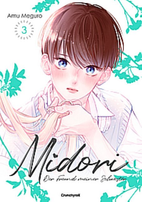 Midori - Der Freund meiner Schwester - Band 3
