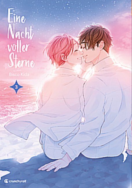 Eine Nacht voller Sterne - Band 3 (Finale)