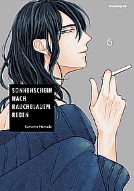 Sonnenschein nach rauchblauem Regen - Band 6