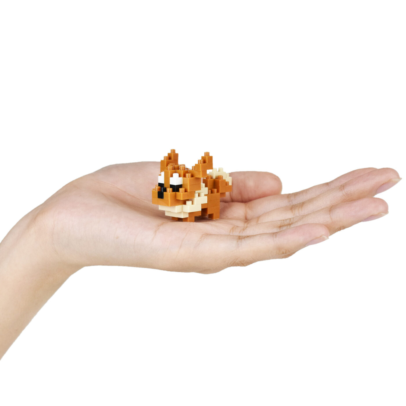 Baukastenspiel - Pokemon - Normal Set