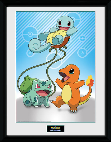 Rahmen - Pokemon - Starters Kanto