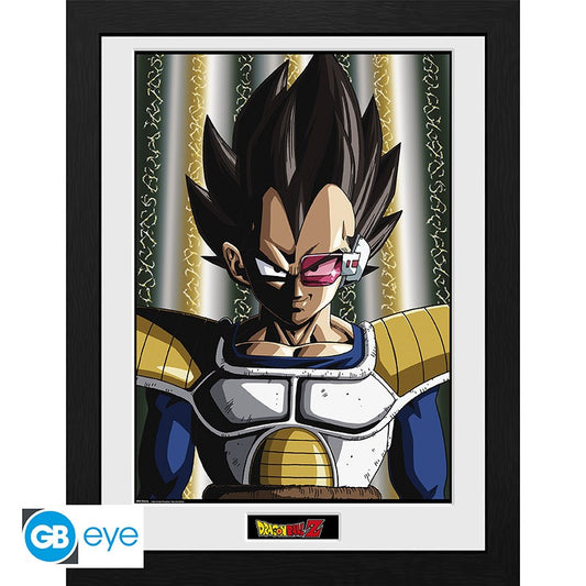 Rahmen - Dragon Ball - Vegeta