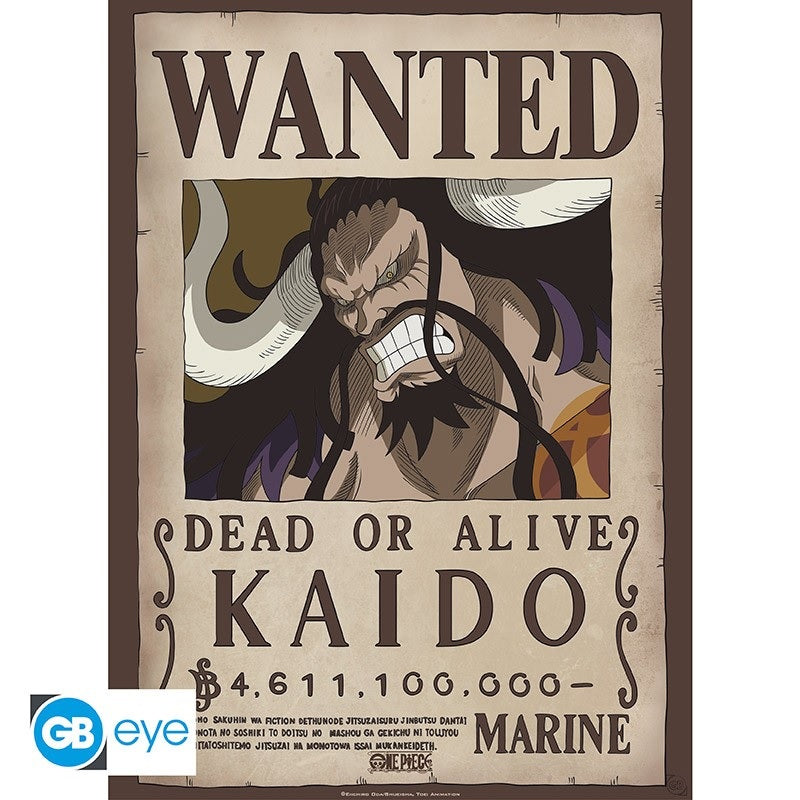 Poster - Flat - One Piece - Kaido