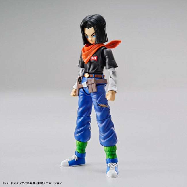 Modell - Figure Rise - Dragon Ball - C-17